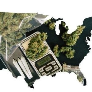 Meet your Posher, Gregg